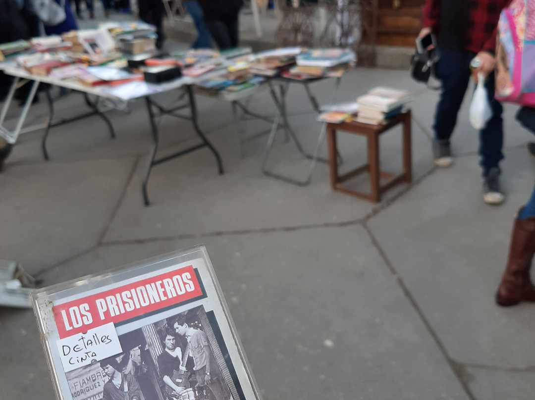 Plaza Peru-康塞普西翁必去景点