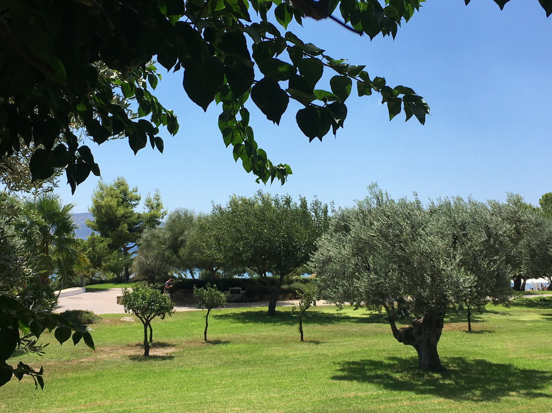 Hydra Beach Resort主图