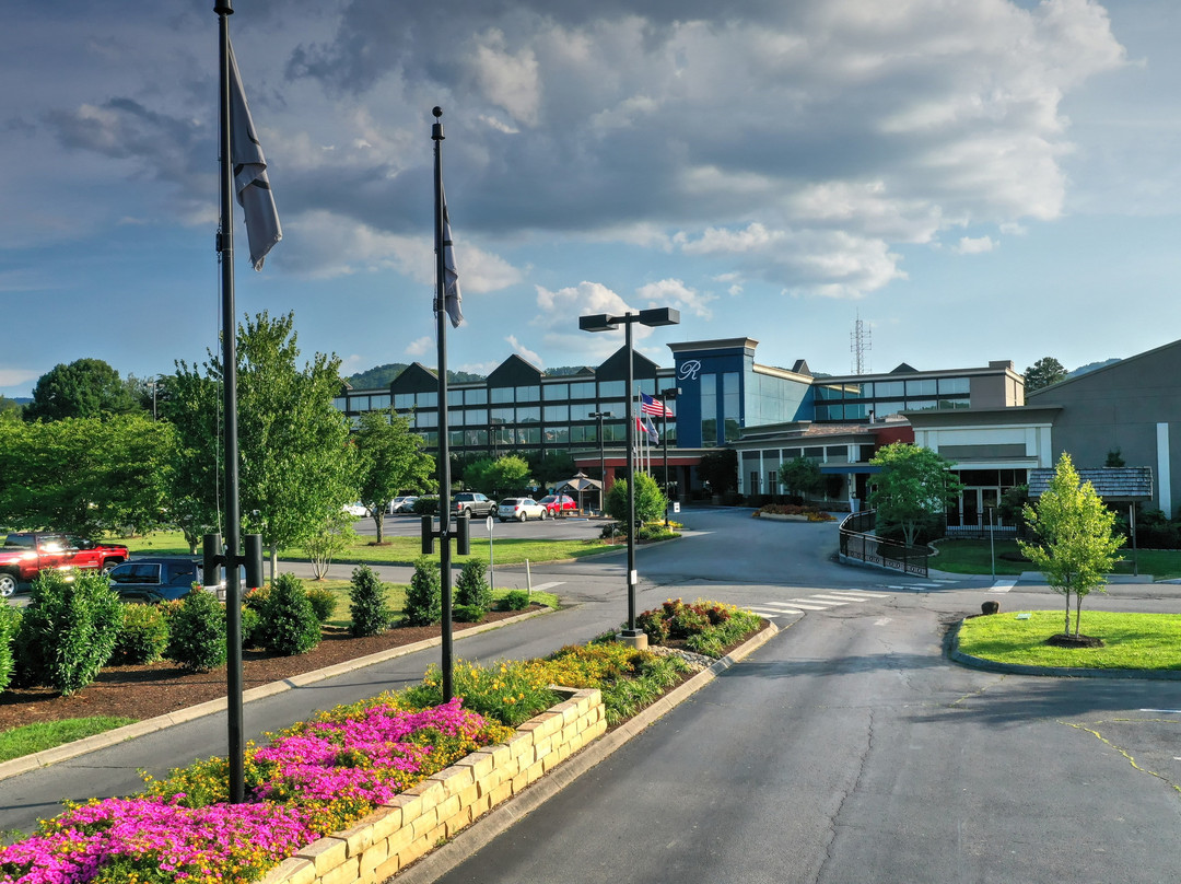 皮金福奇酒店住宿-鸽子谷假日酒店