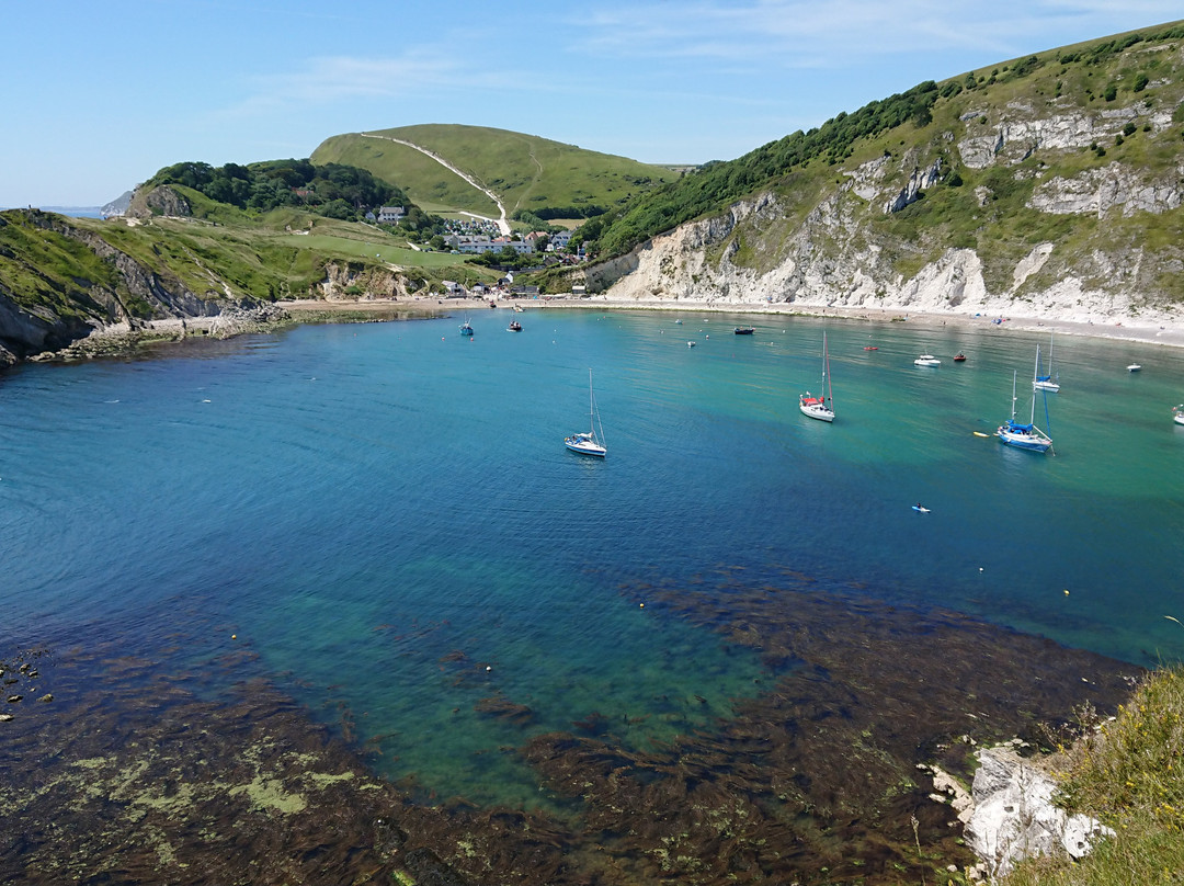 Lulworth Lodge主图