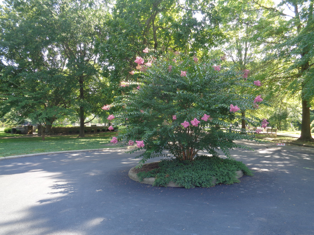 Ritter Park-亨廷顿必去景点