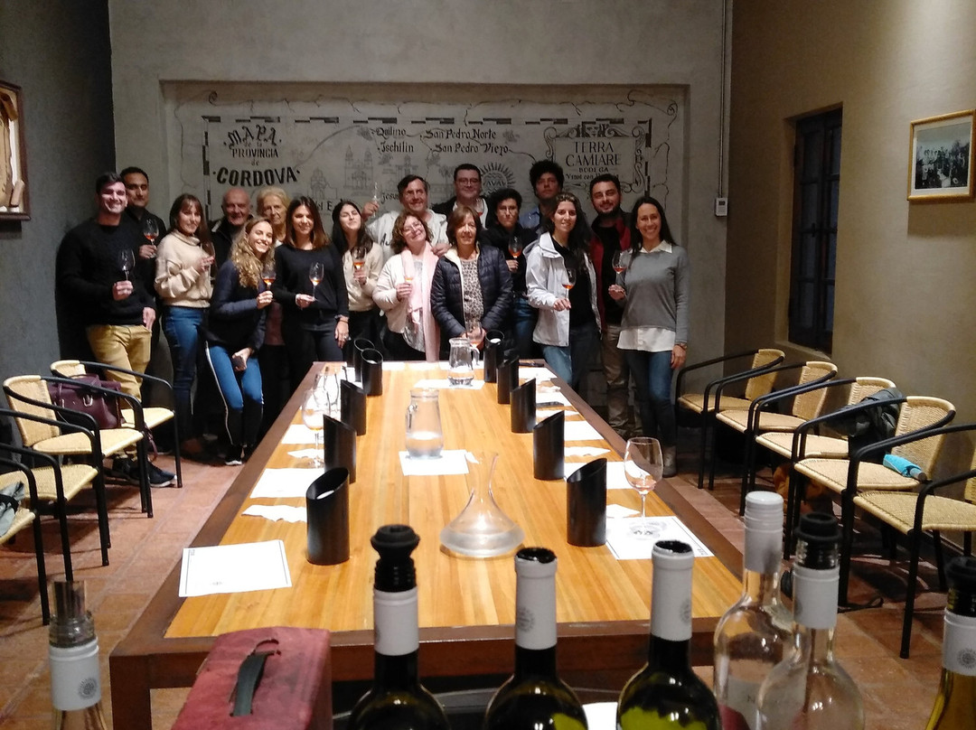 Bodega Terra Camiare景点图片