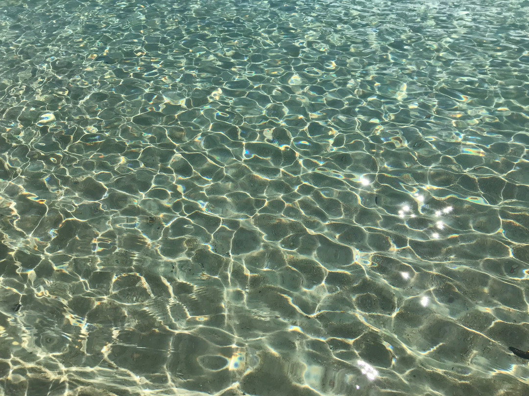 Hamilton Island Reef Ryder Tour-汉密尔顿岛必去景点