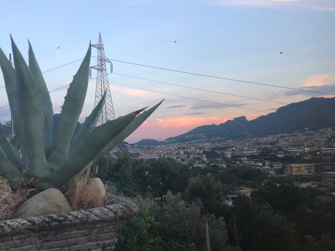 白塔住宿加早餐酒店主图
