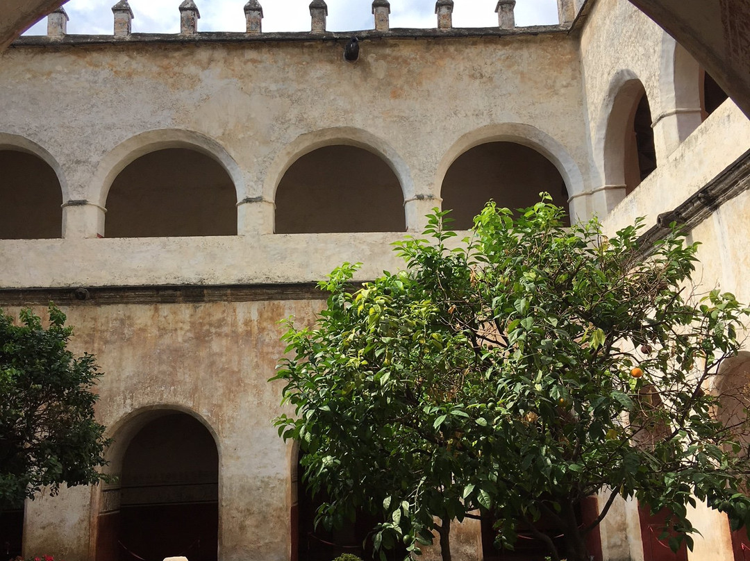 Ex Convento Dominico de la Natividad景点图片