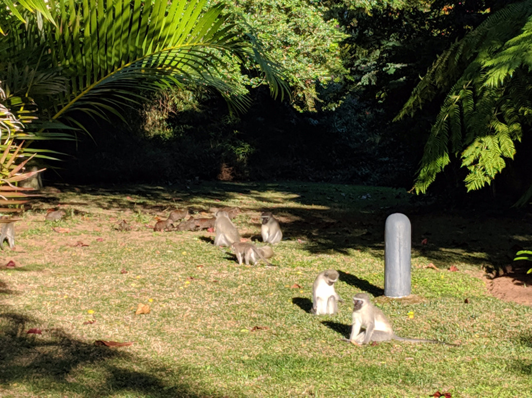 Kingfisher Lodge主图