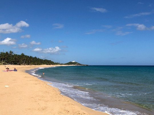 Atlantic Surf & Bodyboarding School-阿雷西沃必去景点