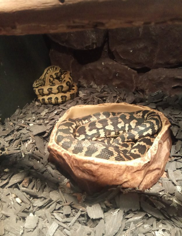 Aquarium Terrarium-克尔克必去景点