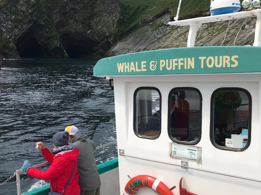 Molly Bawn Whale & Puffin Tours景点图片