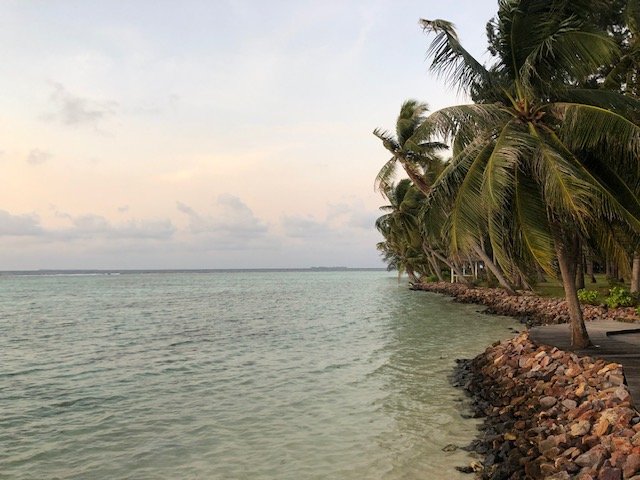 Kura Kura Resort-浴室