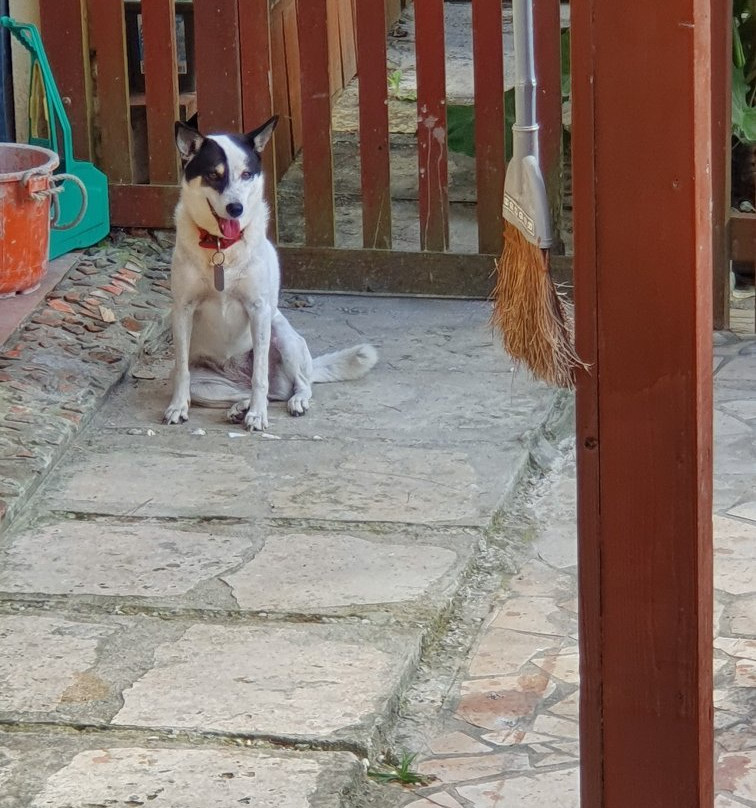 ケンスビーチフロントカフェ