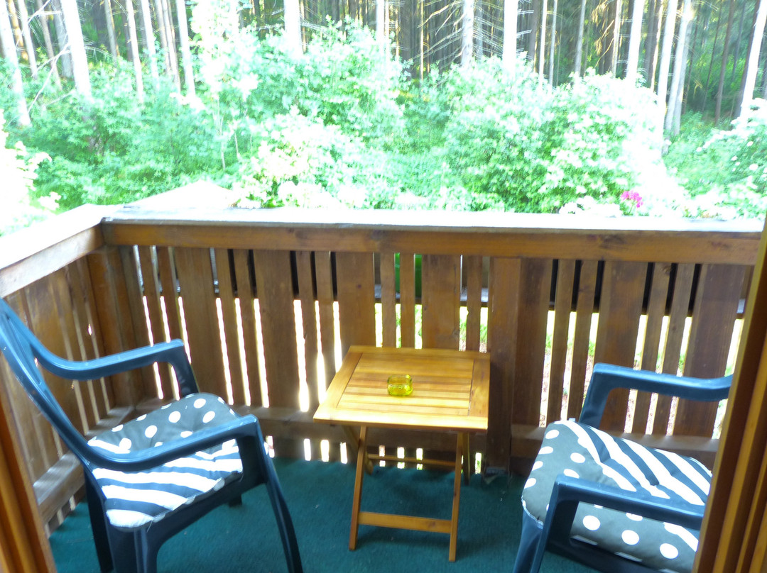 Pension Schatzkisterl主图