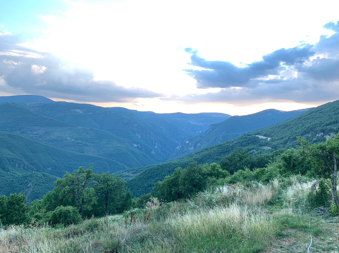 B&B Live Paradise主图