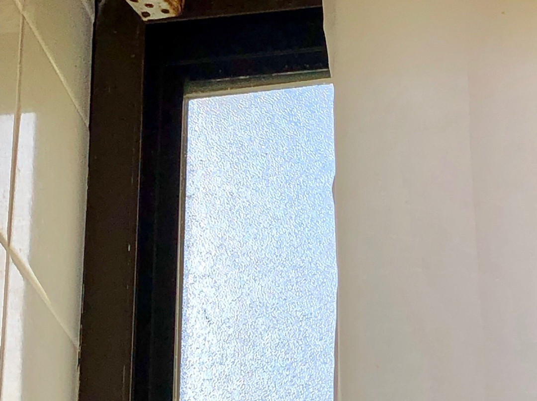 Sunlight Lodge Bed & Breakfast主图