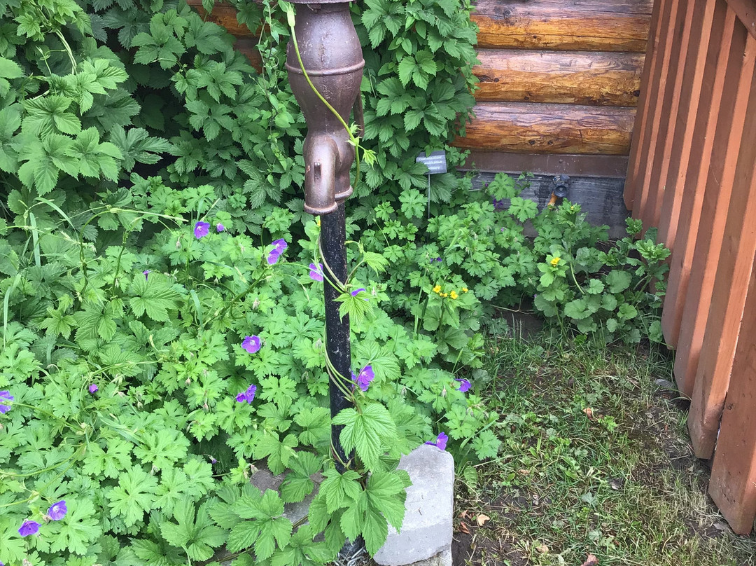 Palmer Museum of History and Art-帕尔默必去景点