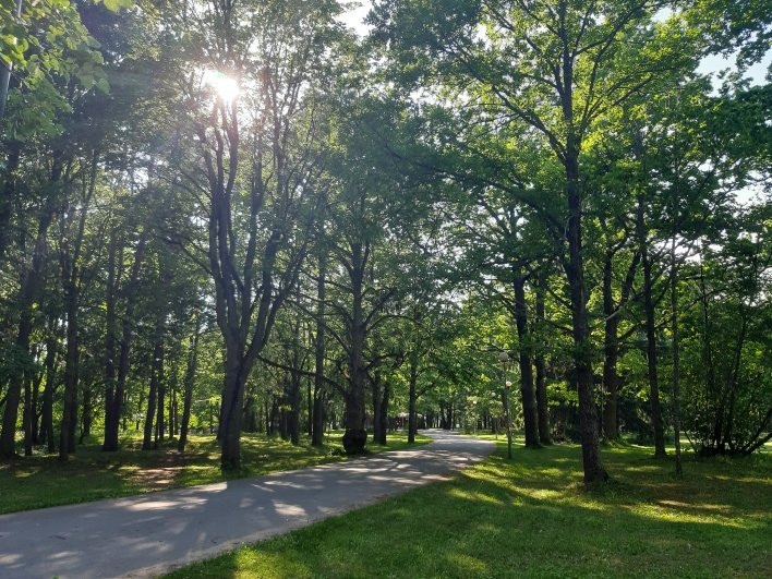 Oru Park-Toila必去景点