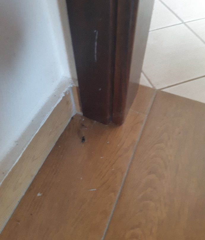 Hotel Mikri Archondissa主图