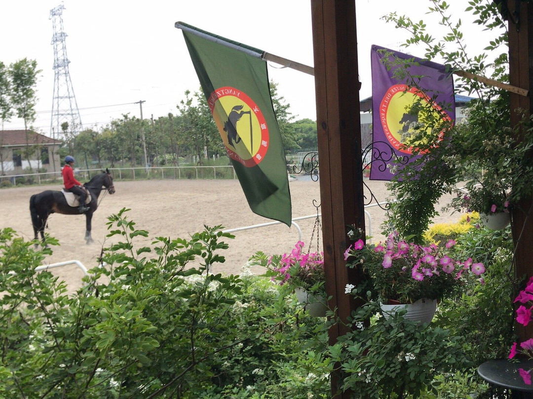 西芦园-太仓市必去景点