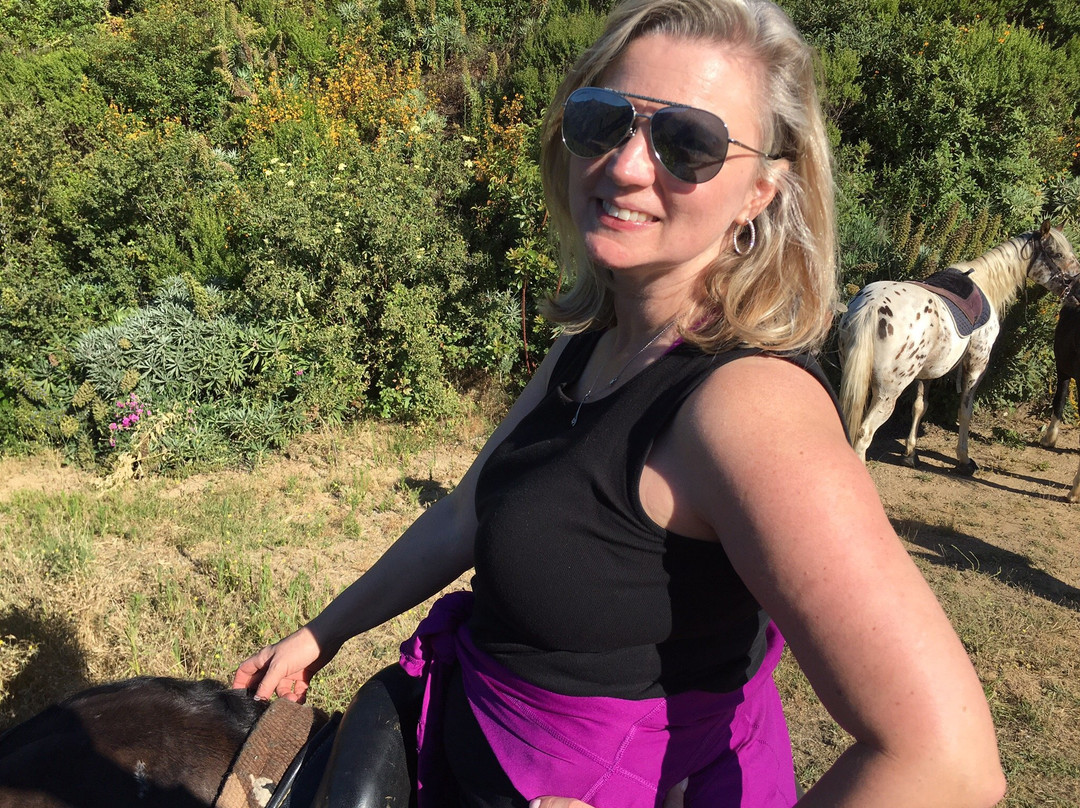 Big Sur Majestic Equine Services-大苏尔必去景点