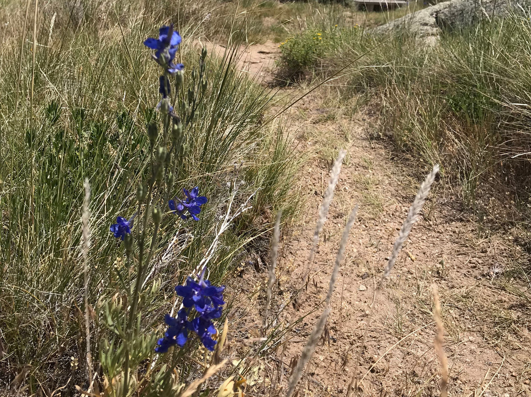 Split Rock Historic Site-Jeffrey City必去景点