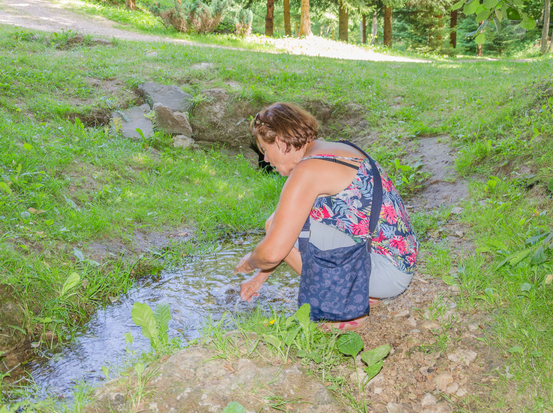 Rezerwat przyrody Zimny Doł