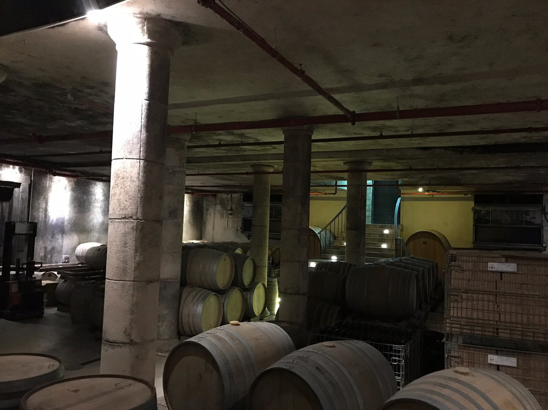 Chateau Golan Winery-戈兰高地必去景点