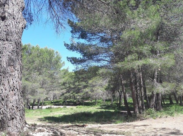 Parc départemental de Bessilles-Montagnac必去景点