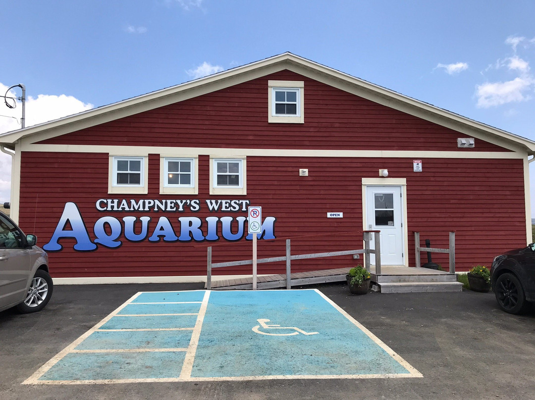 Champney's West Aquarium景点图片