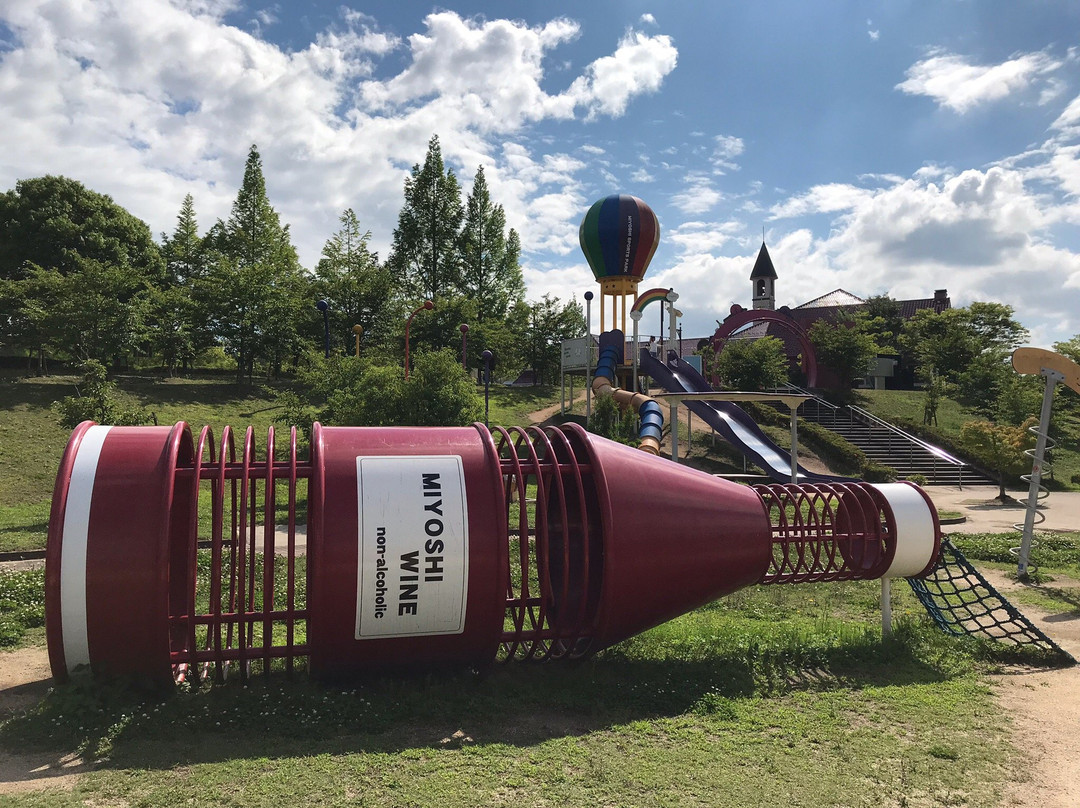 MIyoshi Sports Park Asobi no Okoku-三次市必去景点