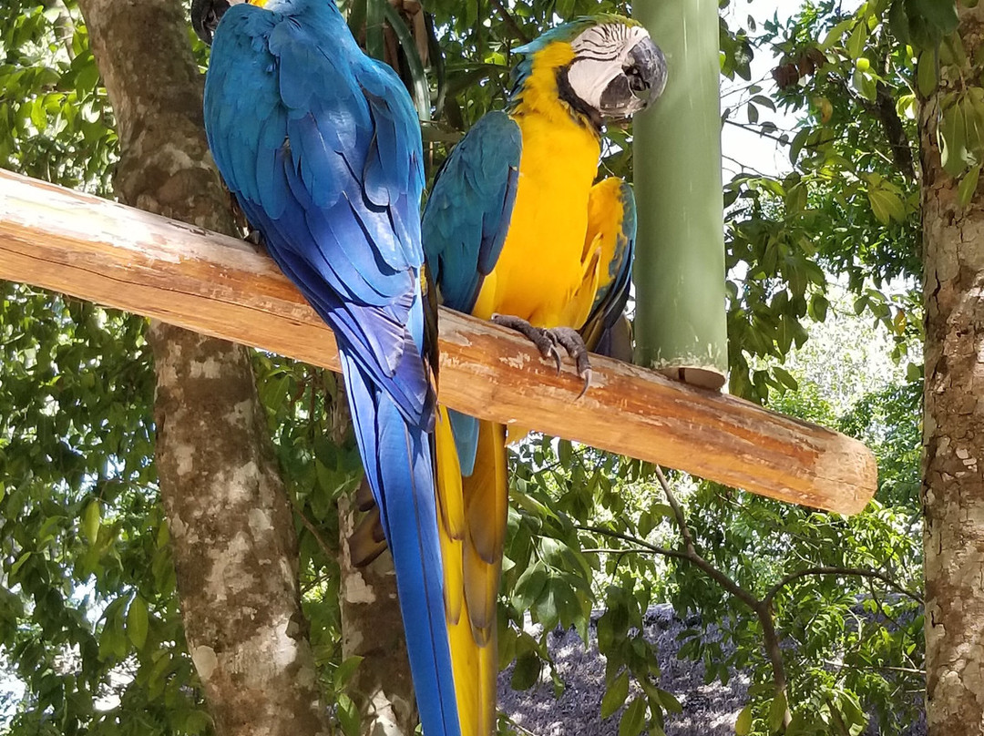 Vea Trips & Tours-艾库玛尔必去景点