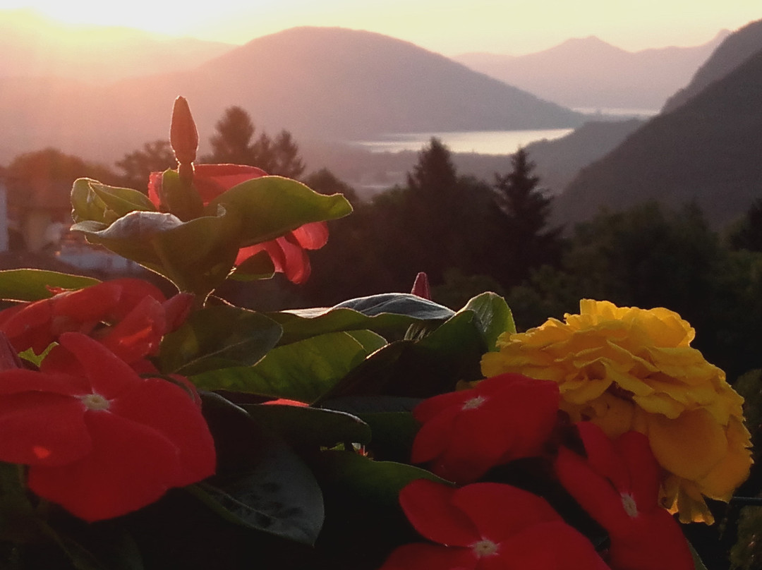 Crusinallo酒店住宿-Al Mutpron B&B