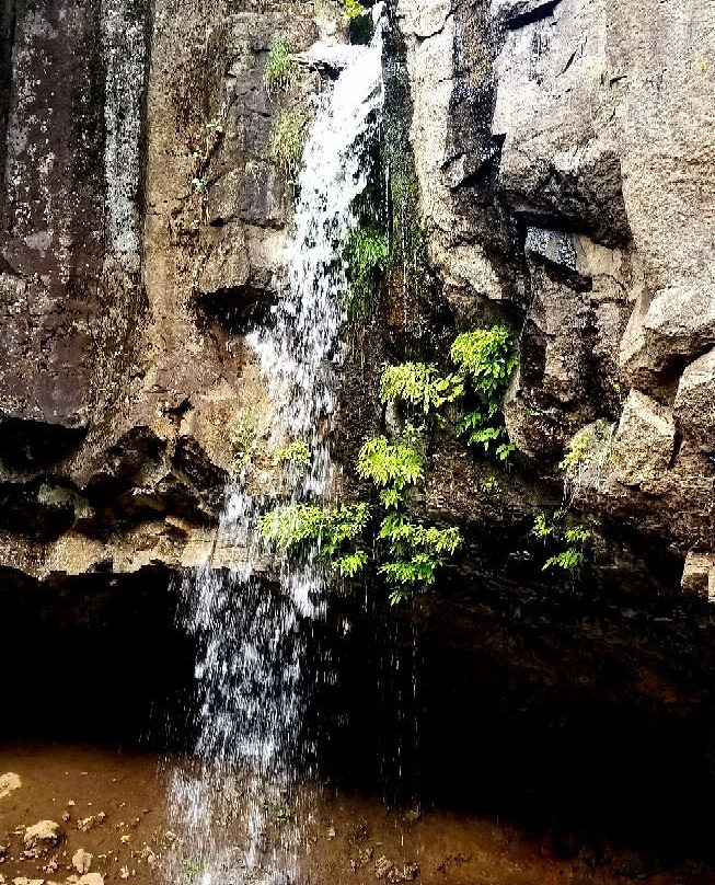 Hedge Creek Falls景点图片