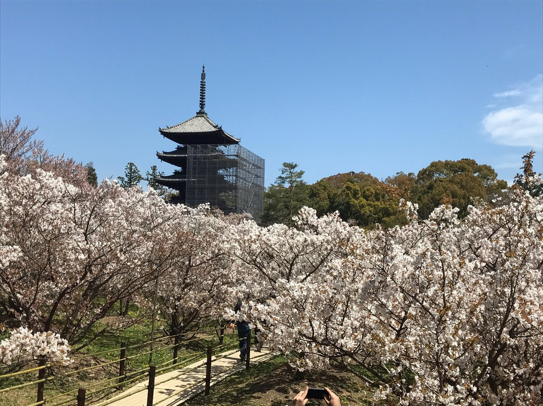 仁和寺景点图片