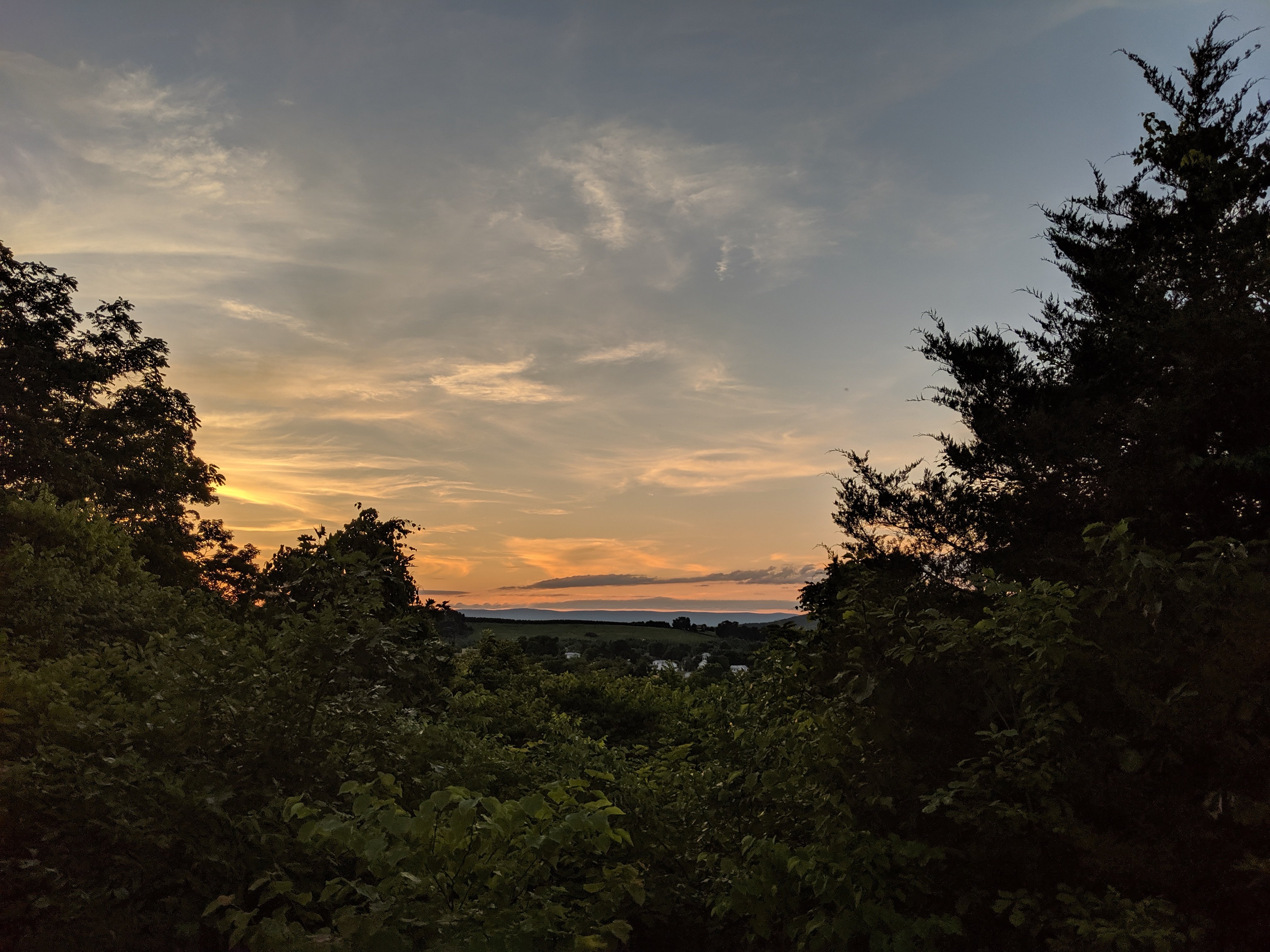 River Bluff Farm Bed & Breakfast-浴室
