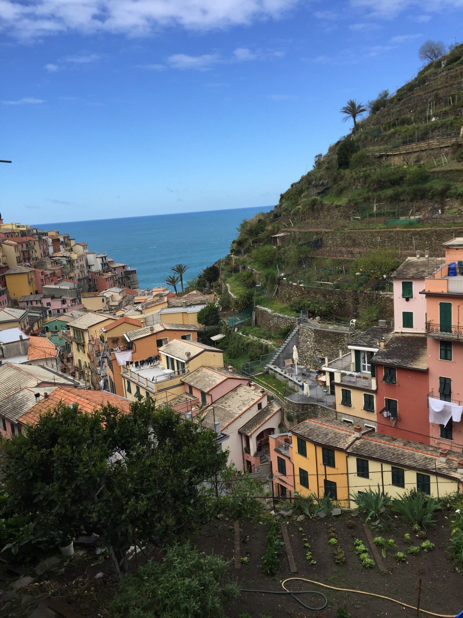 Bed and Breakfast Il Vigneto-官方