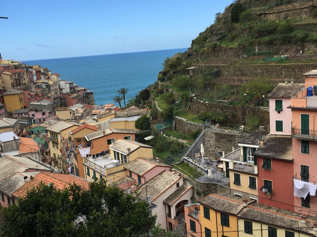 Bed and Breakfast Il Vigneto主图