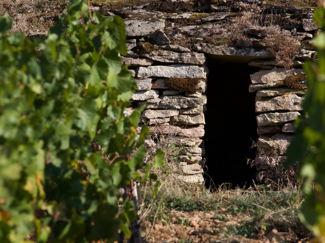 Domaine de l'Eveche景点图片