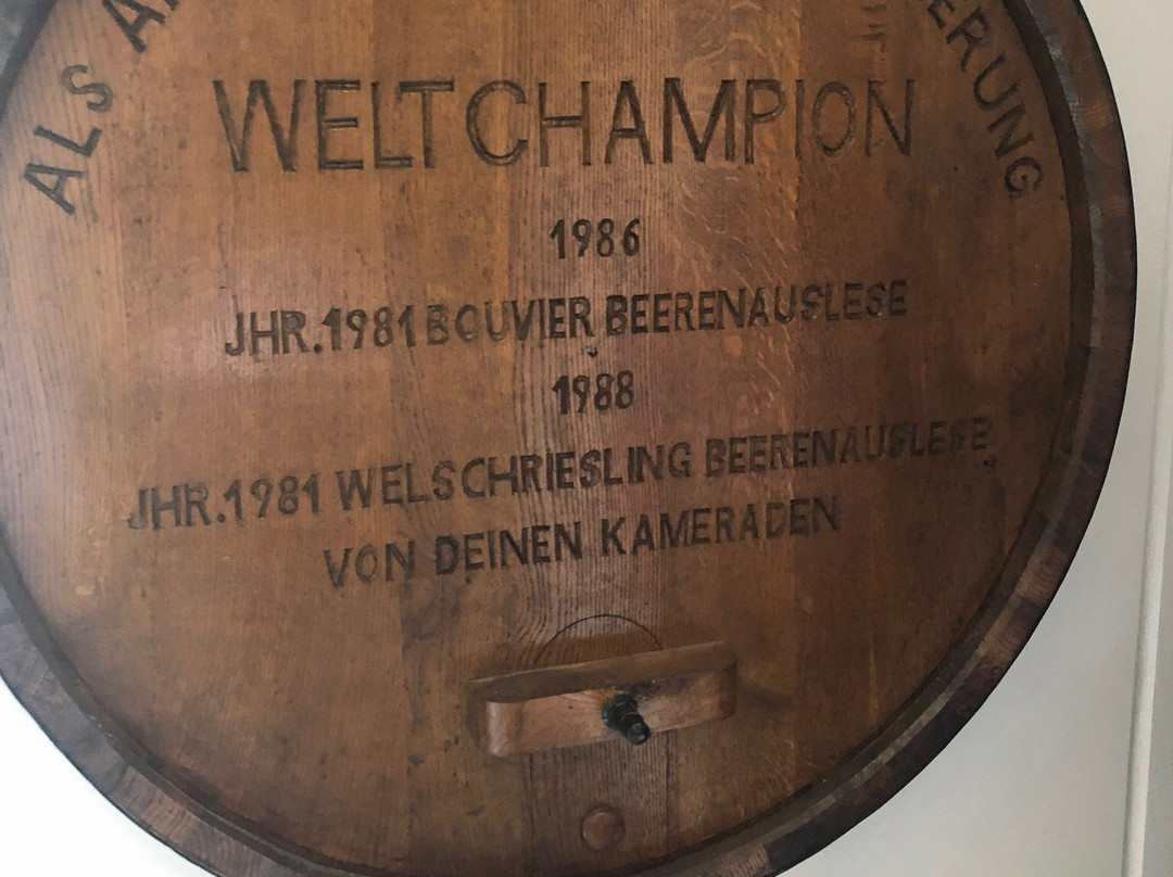 Weingut Kracher-Illmitz必去景点