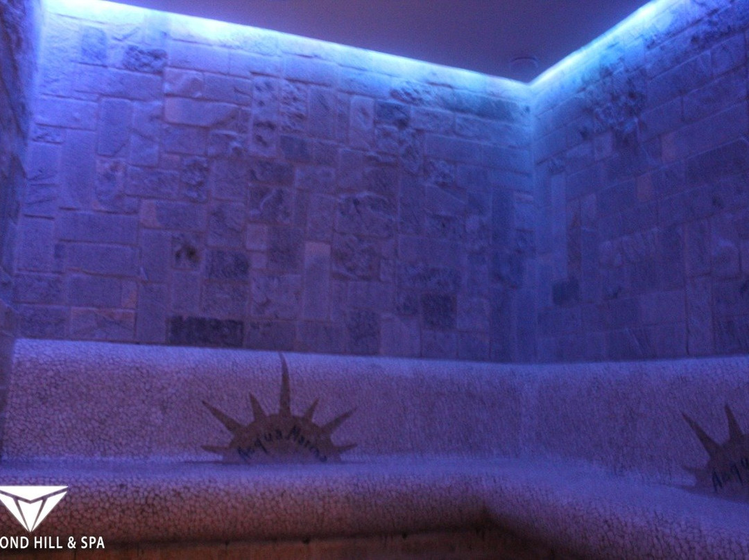 Acquamarina Spa & Wellness Center-夫罗勒必去景点