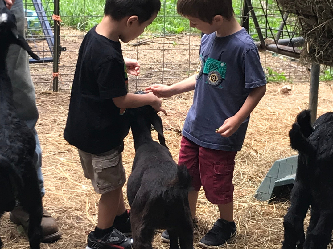 Ye Olde Goat Farm景点图片