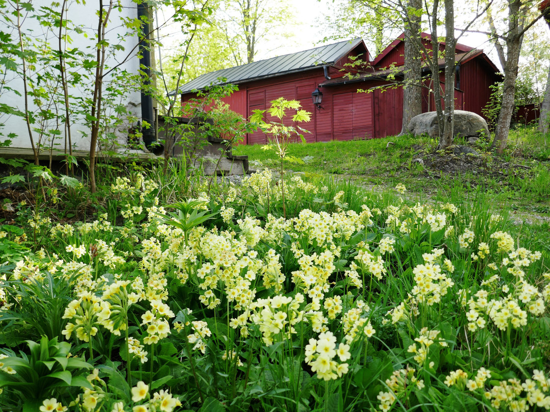 Lebellska köpmansgården景点图片