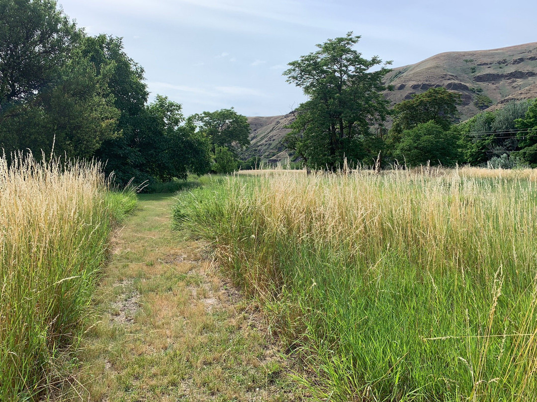 Nez Perce National Historical Park Visitor Center景点图片