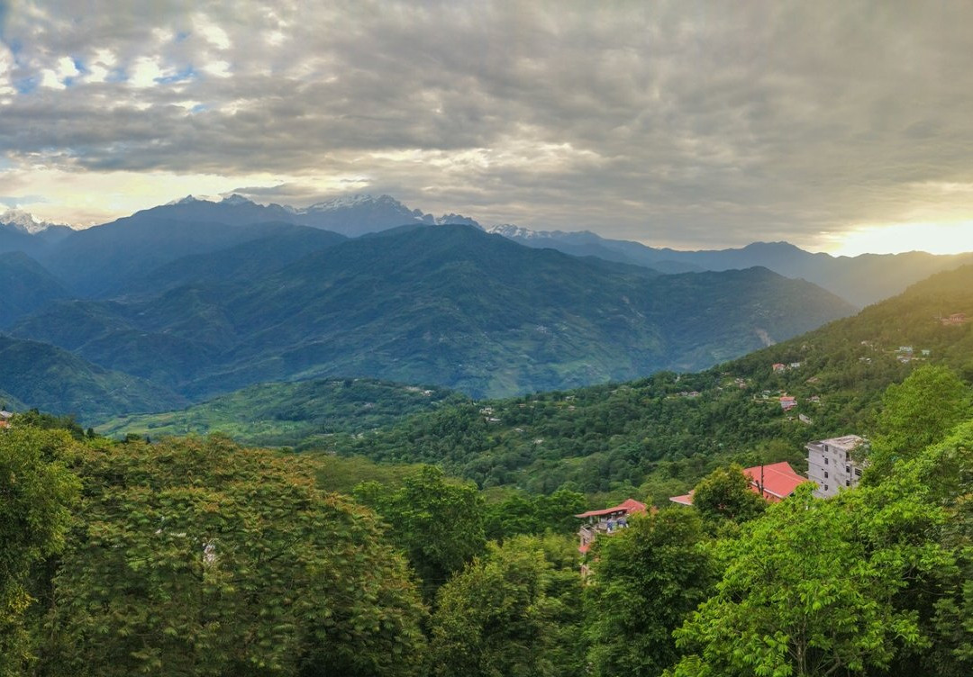 The Hidden House, Fairview - Pelling主图