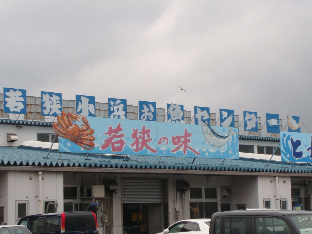 Wakasa Obama Fish Center景点图片