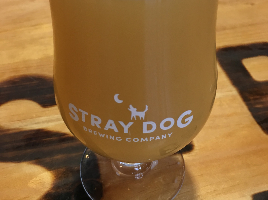 Stray Dog Brewing Company景点图片