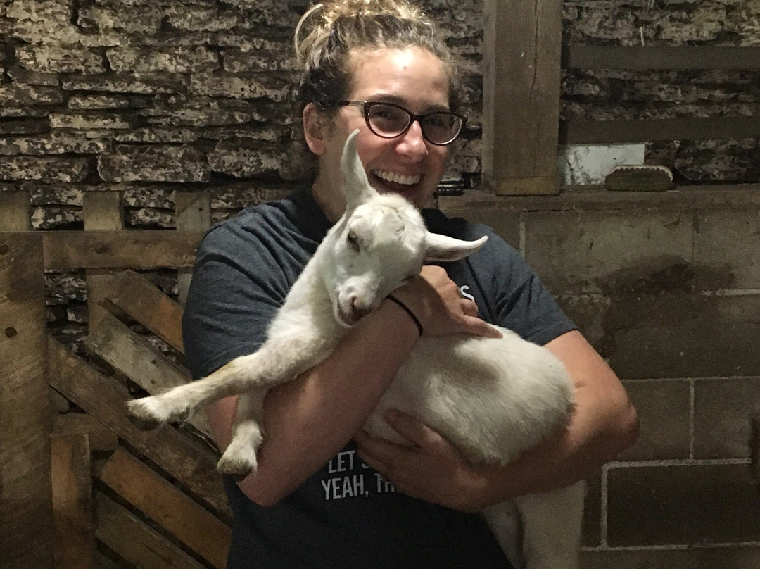 Learning Tree Farm-代顿必去景点