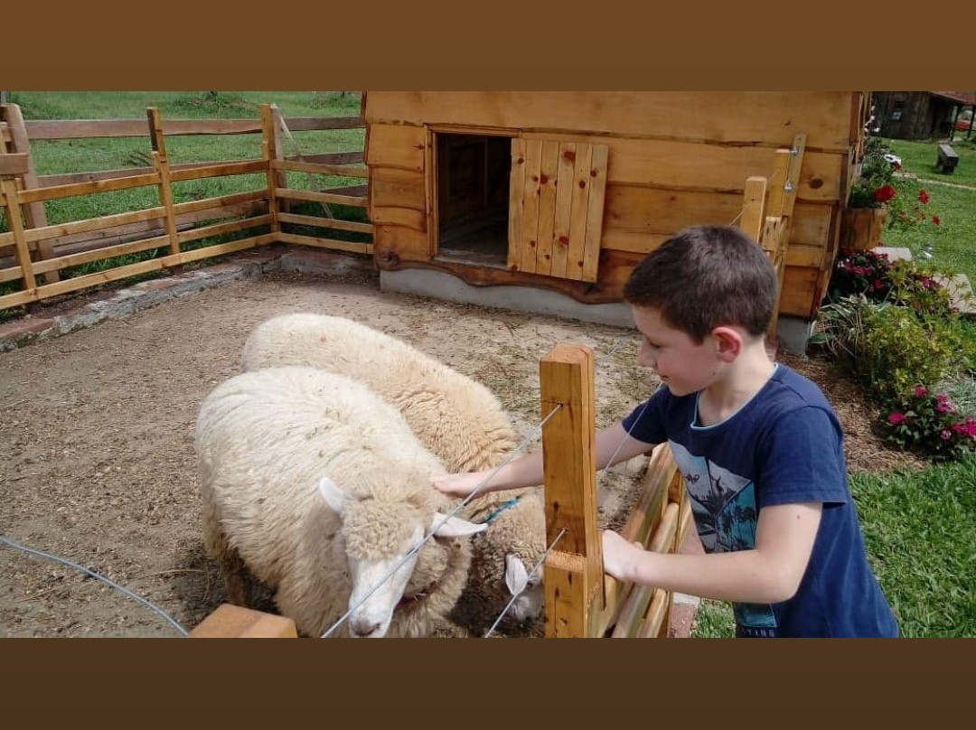 Parque Olivas de Gramado-格拉玛多必去景点