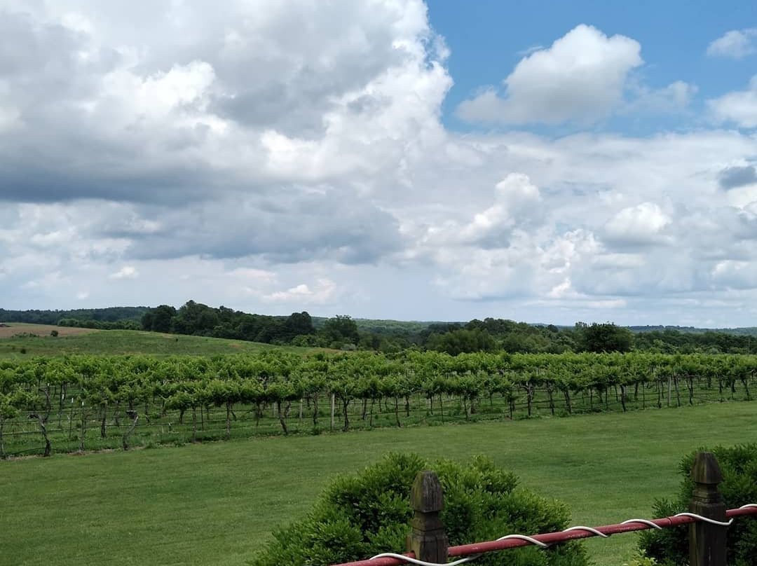 Von Jakob Winery & Brewery景点图片