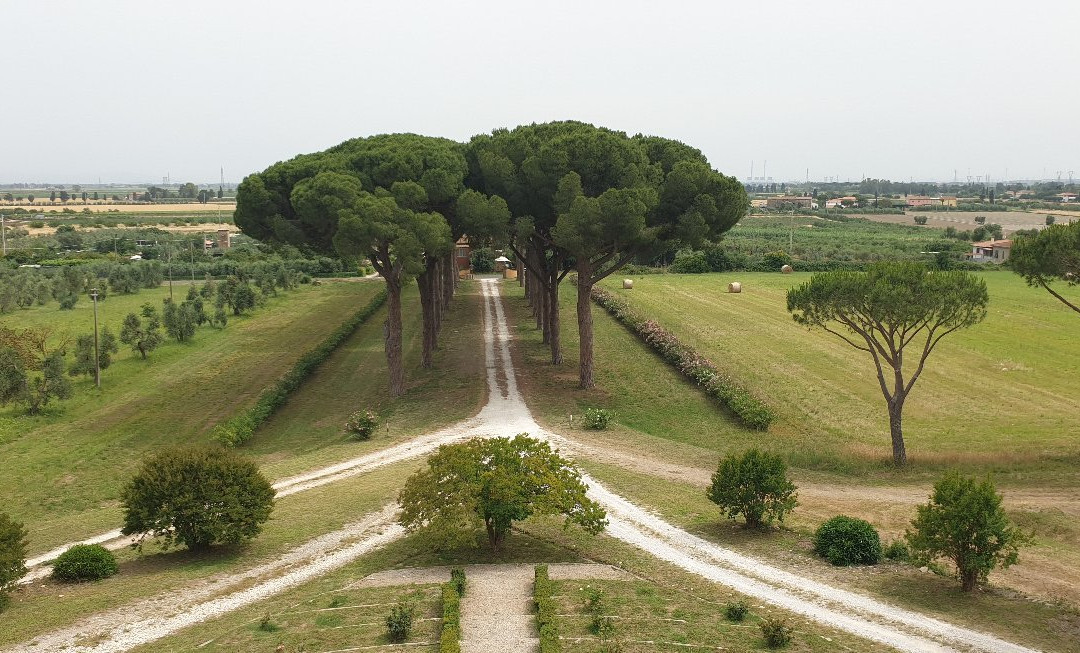 Villa Boldrini主图