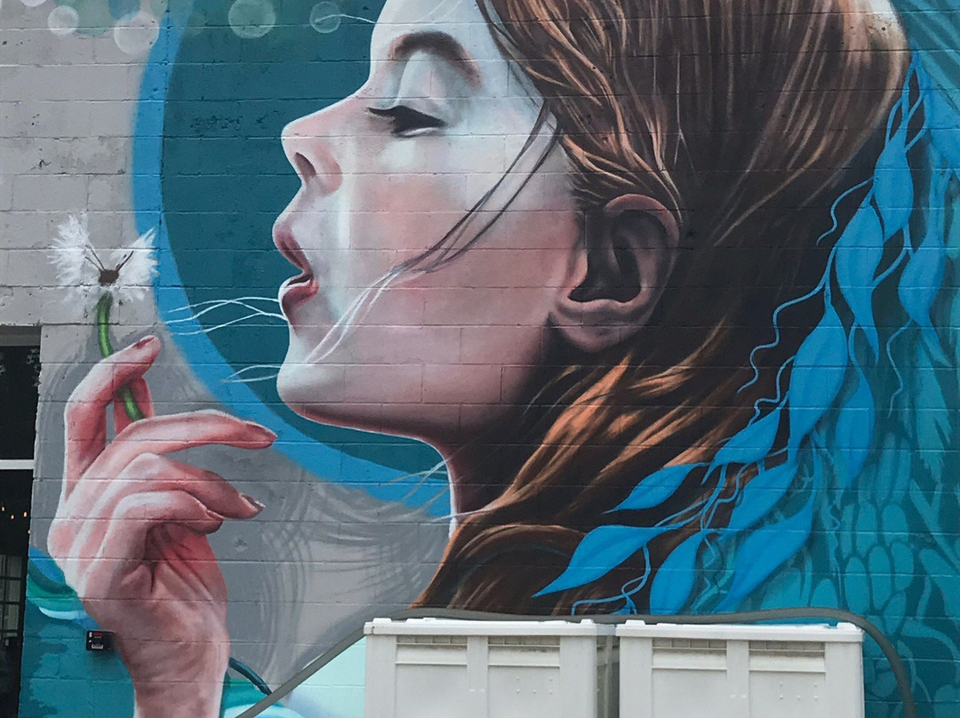 plēb urban winery-阿什维尔必去景点